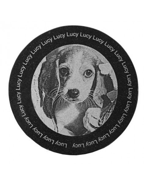 Laser Engraved Granite Photo Tile - Round 6"