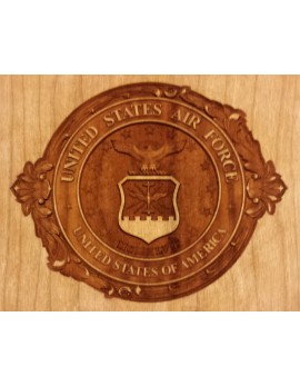 3D Relief Engraved Air Force Plaque