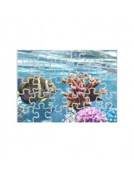 Magnetic 30 Piece Photo Puzzle, 7x9" Rectangle