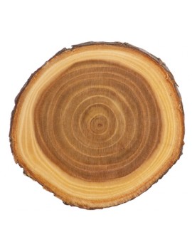 Laser Engraved 7" Diameter Old West Log Plaque