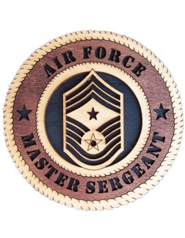 Laser Cut, Personalized Air Force E-9 Master Sergeant Gift