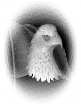 3D Relief Engraved Eagle & Flag Plaque
