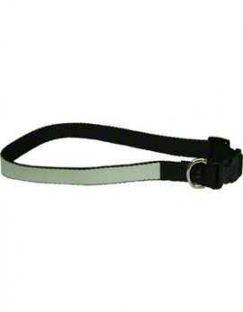 Dog Collar 20-26" Adjustable