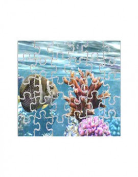 Magnetic 30 Piece Photo Puzzle, 7x9" Rectangle