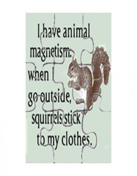 Magnetic 9 Piece Photo Puzzle, 7x9" Rectangle